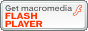 Descargar Flash Player